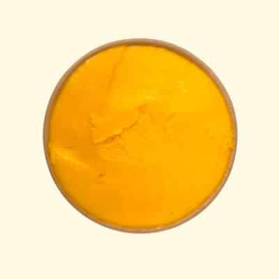 Sorbet - Mangue
